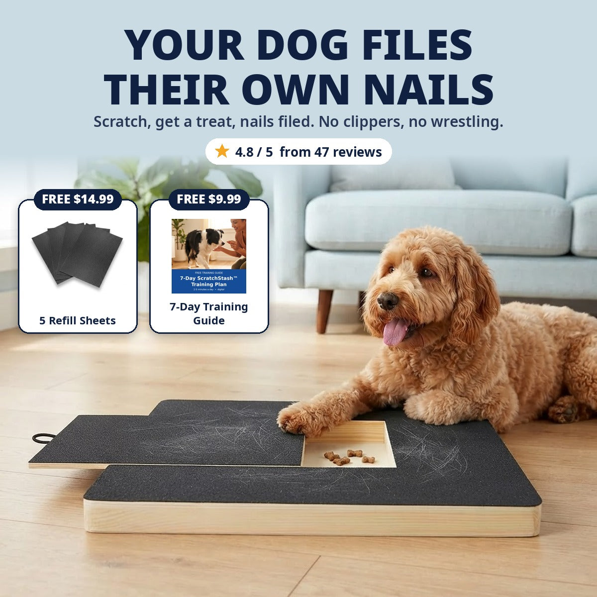 Goldendoodle filing his own nails on the ScratchStash board