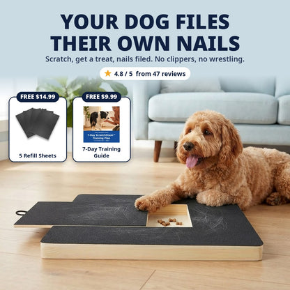 Goldendoodle filing his own nails on the ScratchStash board
