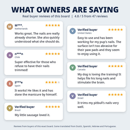 What owners are saying: real buyer reviews of the ScratchStash board