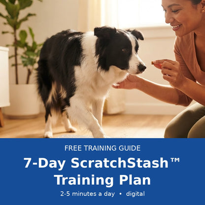 7-Day ScratchStash™ Training Guide (Digital)