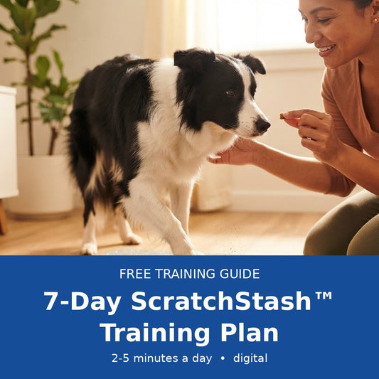 7-Day ScratchStash™ Training Guide (Digital)